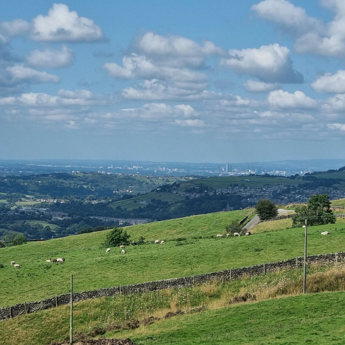 Stef Griffiths tweet media