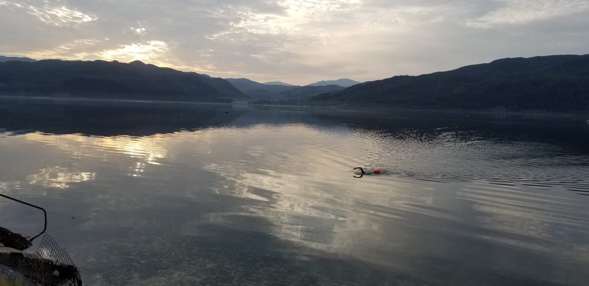 RalphHorsley's tweet image. Beautiful holiday sunrise swim in Lochcarron. #swimming #holiday #referencephoto
