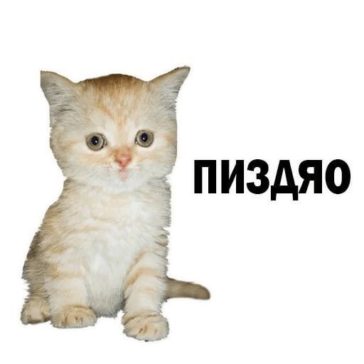 chinesegoof's tweet photo. https://t.co/VBird82LdL