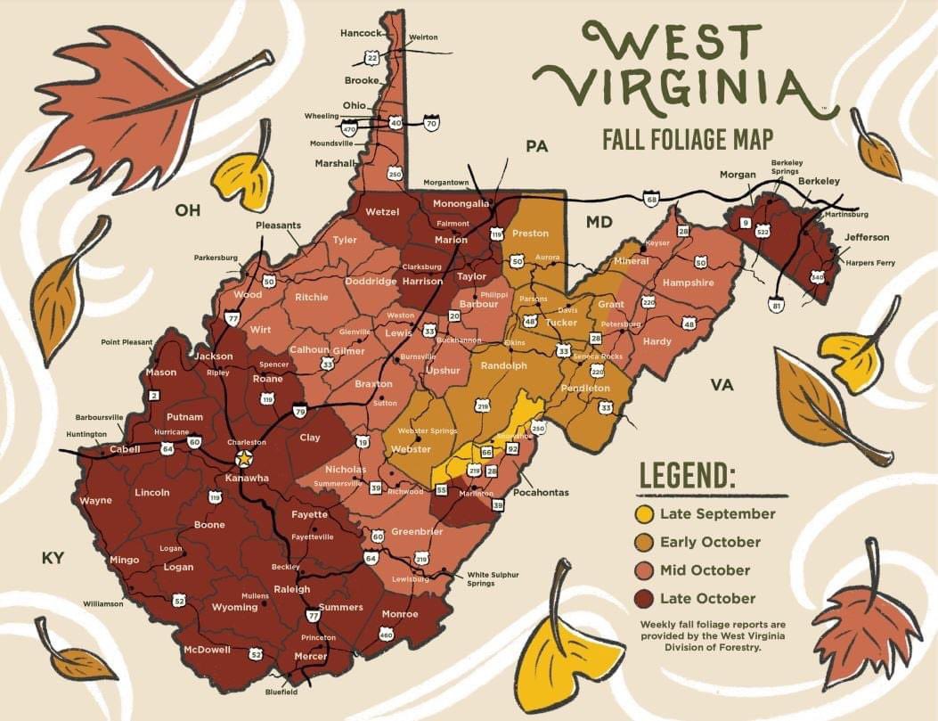 LaurenTalottaTV's tweet photo. It’s not [unofficially] fall until @WVForestry releases its FALL FOLIAGE map 🍁🍂🧡 can’t wait to go leaf peeping soon!! https://t.co/aVjrH463Uo