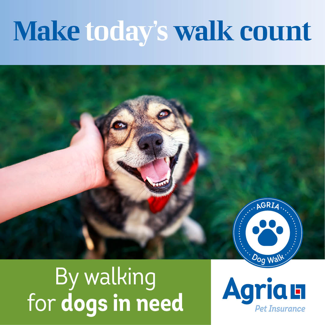 Who could your dog rescue today? 💕Did you know that more than half of the dogs being handed over to rescues are under two years old? This month dedicate a walk to dog rescue, donate £5 or more &amp; we'll add another £5 - &amp; your dog could win a luxury hamper! bit.ly/2YpI2Pf