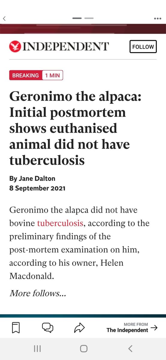 I’m heartbroken by this news and I know millions of people around the world will feel the same if #Geronimothealpaca was needlessly put down. The Government should have shown moral leadership. @alpacapower