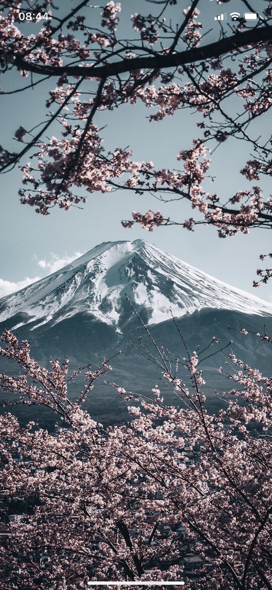 Jobbur_'s tweet photo. @Pottsea_ Can’t even see the best part, Mt. Fuji https://t.co/PkxwoeexCw