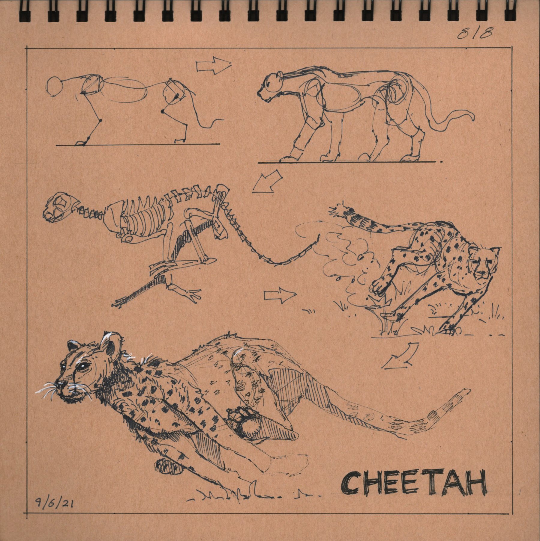 George Broussard on Twitter: