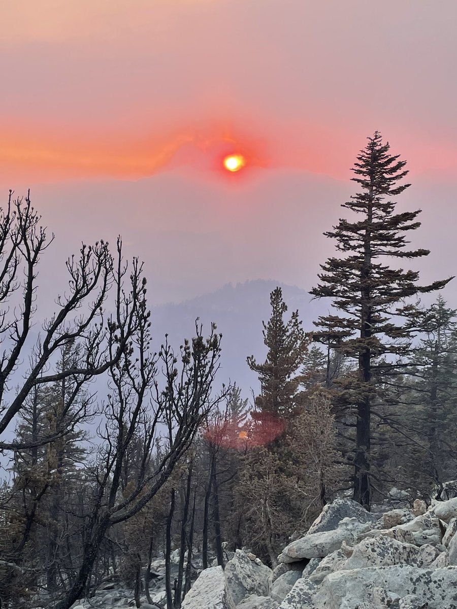 #TMFR crews constructing handline at 9,000 ft on the #CaldorFire south of Lake Tahoe in the east zone. Progress continues to be made on containment. @pffnevada #wildfireseason2021 #fireseason2021 #holdingtheline