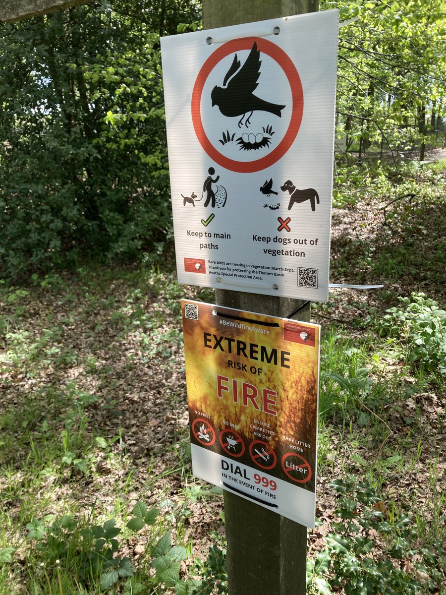 We are edging closer to 15th Sep  when the #ThamesBasin #SpecialProtectionArea #ground-nestingbird breeding season draws to a close. As a dog owner how did you find the new sign design this year? Do feedback at Heathland.Hounds@naturalengland.org.uk or join our Facebook group!