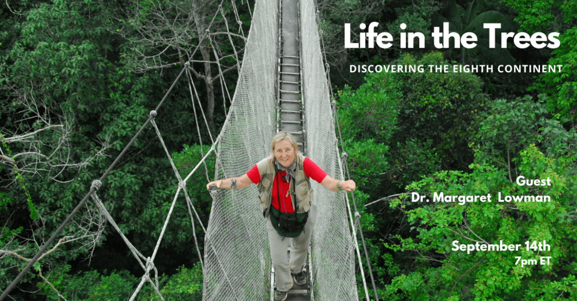 TreeFoundation's tweet photo. "Come hear stories that will inspire us to think more urgently about forest conservation, help save big trees, and ultimately, keep our planet healthy." @WSKG September 14 at 7pm @canopymeg
#canopymeg #forestecology #thearbornaut #climateactivist
https://t.co/va0B76oNuR https://t.co/IMMBIreBkp