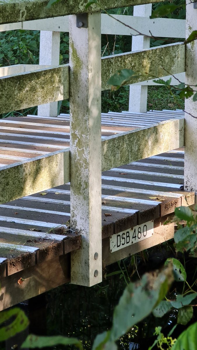 Hallo <a href="/GemeenteDenHaag/">Gemeente Den Haag</a>. Kunnen jullie deze brug schoonmaken? Hij was ooit wit. Gaat om DSB480. Vlakbij Aegonplein. Veel dank alvast namens de omwonenden.
