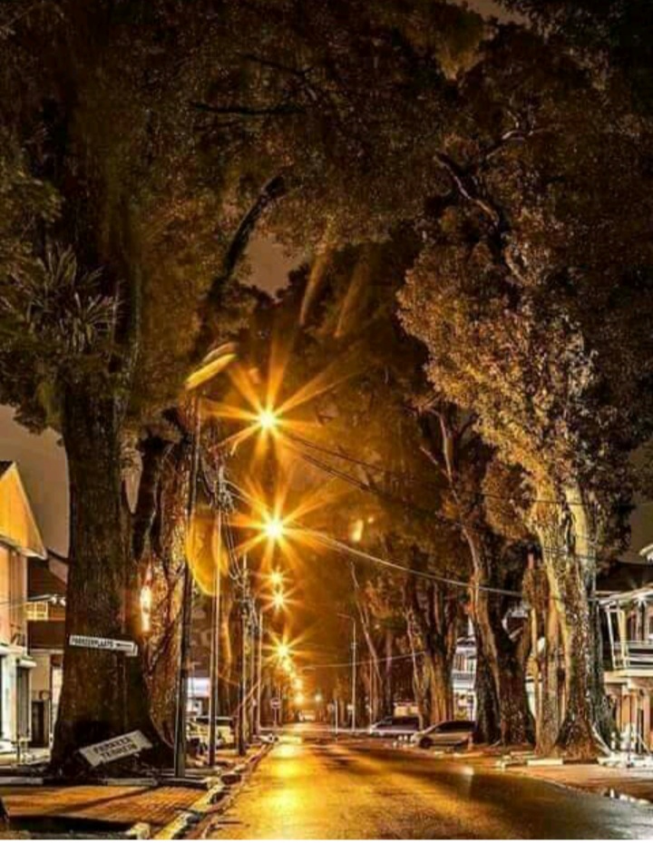 CathrinJudell's tweet photo. Paramaribo, after a little rain fall. Who knows the name of this street in the heart of Paramaribo?
#paramaribo #suriname https://t.co/n6dvxYyLZU