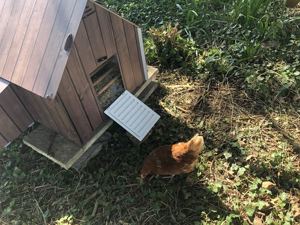 Dean Close St John’s tweet media