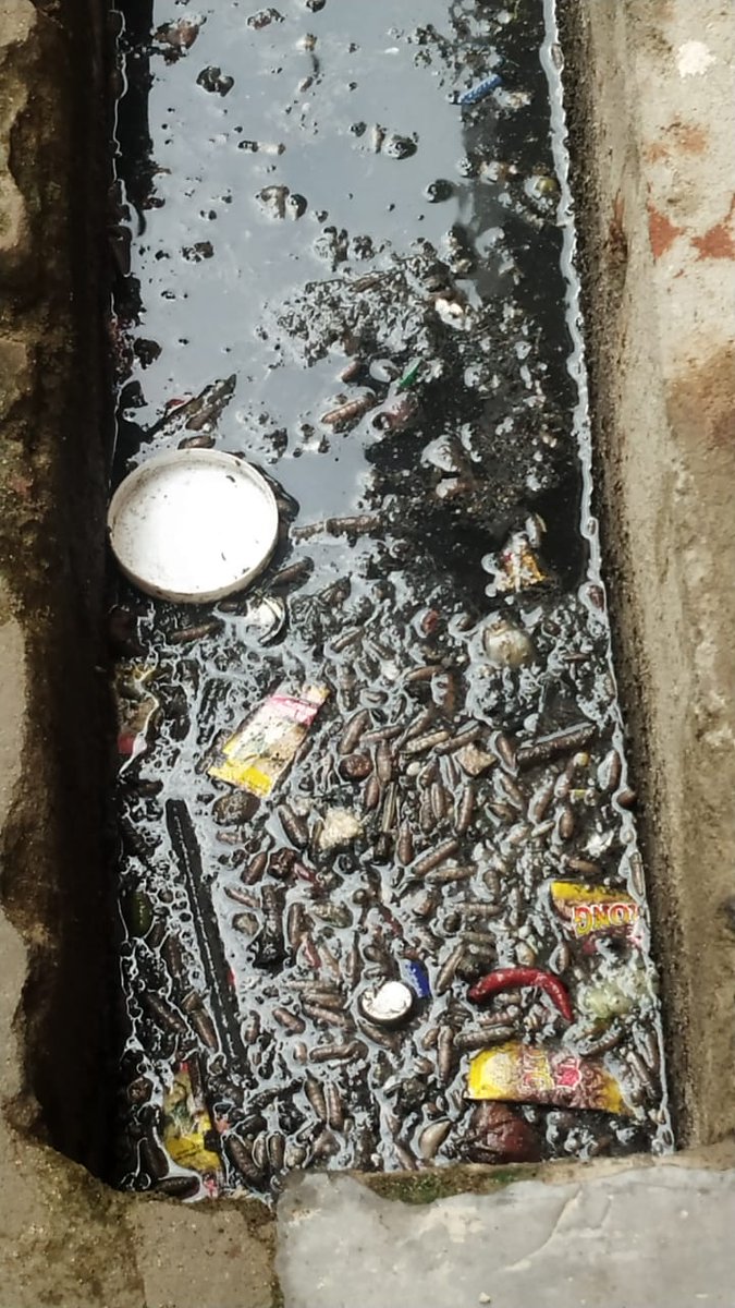 <a href="/Dmpilibhit/">District Magistrate/ DEO Pilibhit</a> <a href="/swachchbharat/">Swachch Bharat</a> <a href="/CMOUP_RC/">CMO UP Report Card</a> <a href="/CMOfficeUP/">CM Office, GoUP</a> नगर पंचायत बरखेड़ा में संचारी रोग महा में भी नालियों में बजबजाते कीड़े।कभी भी नगर में फैल सकती है महामारी।