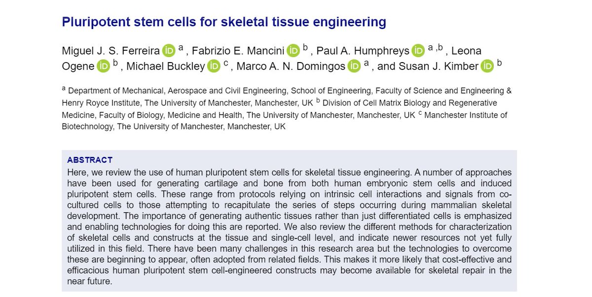 Very happy to share our latest review article "Pluripotent stem cells for skeletal tissue engineering", just published in Critical Reviews in Biotechnology! 🔬🦴 <a href="/paulhumphreys_5/">Paul Humphreys</a> @DomingosLab <a href="/zooms_lab/">Mike Buckley</a> <a href="/RegenMed_CDT/">CDT Regenerative Medicine, Manchester</a>  tandfonline.com/doi/full/10.10…
