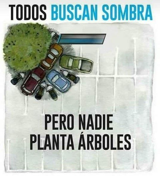 Los Árboles Mágicos ®️, (by Oscar Gaitan) (@arboles_magicos) on Twitter photo 