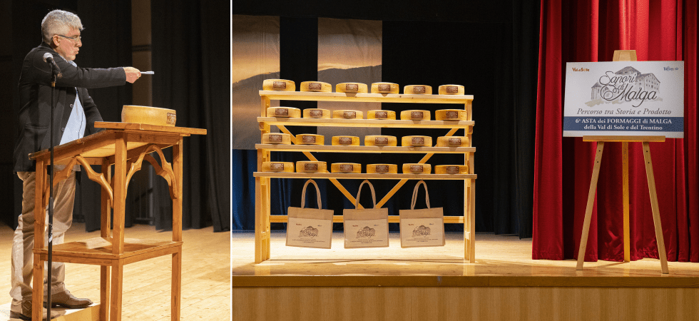 alessandro gilmozzi ⭐️ tweet media