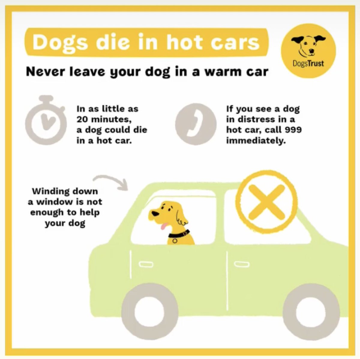 DT_Shrewsbury's tweet image. September Heatwave is here so here is some warm weather advice to help you and your dogs in the sun ☀️ 

Please keep your pooches safe 🐾💛

#warmweatheradvice #heatwave #adifl #adoptdontshop #rescuedogs #adoptme #dogstrustshrewsbury #rescueismyfavouritebreed @DogsTrust