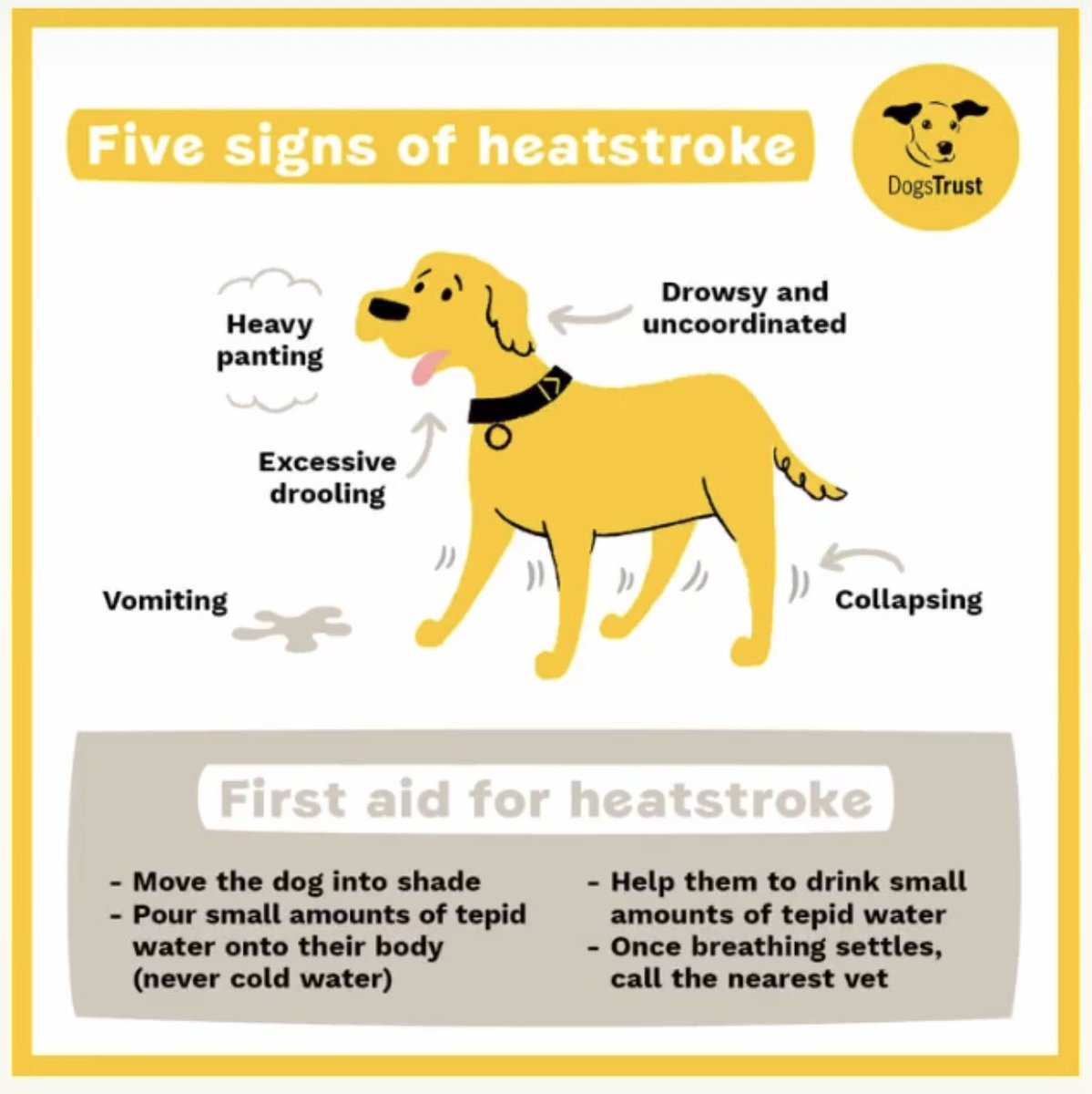DT_Shrewsbury's tweet image. September Heatwave is here so here is some warm weather advice to help you and your dogs in the sun ☀️ 

Please keep your pooches safe 🐾💛

#warmweatheradvice #heatwave #adifl #adoptdontshop #rescuedogs #adoptme #dogstrustshrewsbury #rescueismyfavouritebreed @DogsTrust