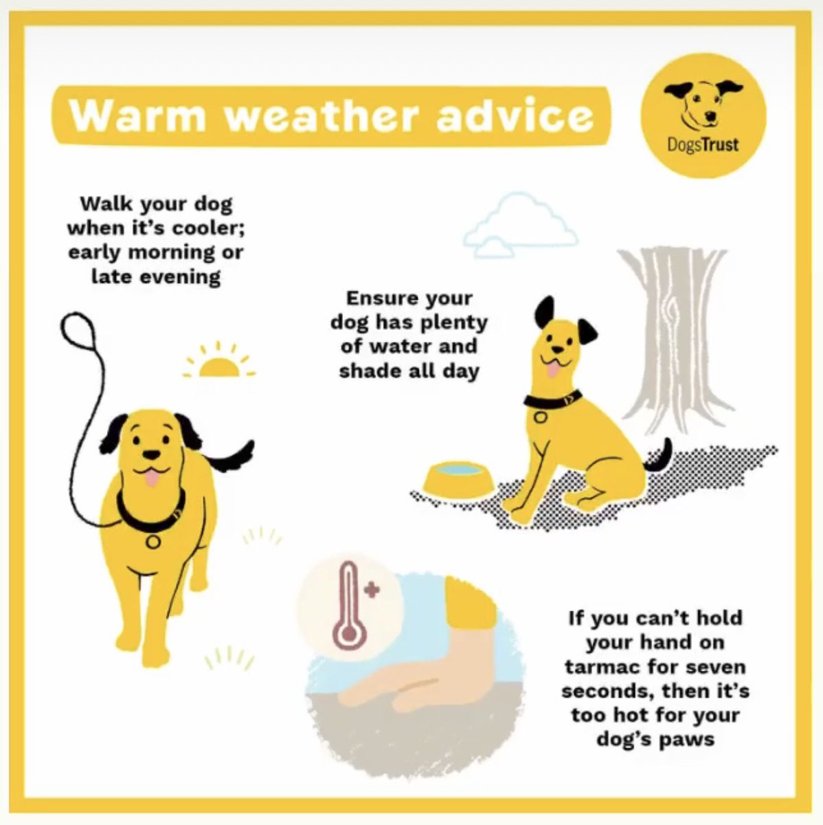 DT_Shrewsbury's tweet image. September Heatwave is here so here is some warm weather advice to help you and your dogs in the sun ☀️ 

Please keep your pooches safe 🐾💛

#warmweatheradvice #heatwave #adifl #adoptdontshop #rescuedogs #adoptme #dogstrustshrewsbury #rescueismyfavouritebreed @DogsTrust
