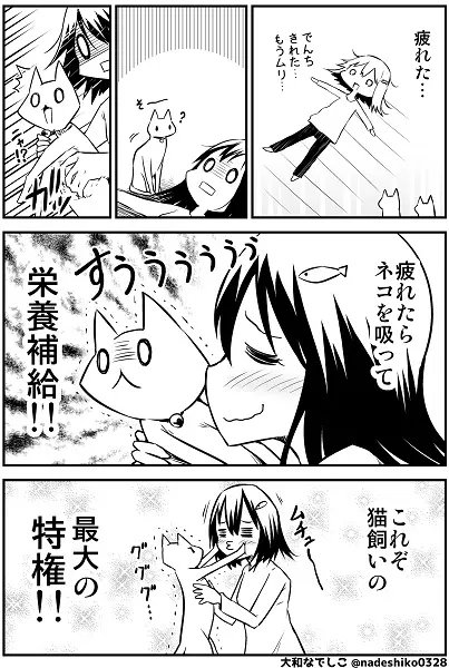 猫好きには必要不可欠 疲れた時は猫吸いで栄養補給 https://t.co/e4yntFGWLp @otakumatchより 