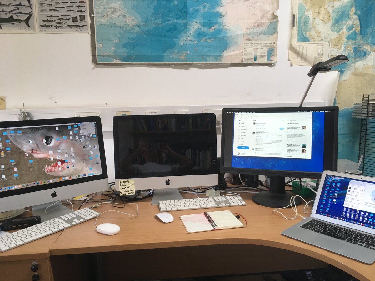 Clive Trueman (clivetrue.bsky.social) tweet media