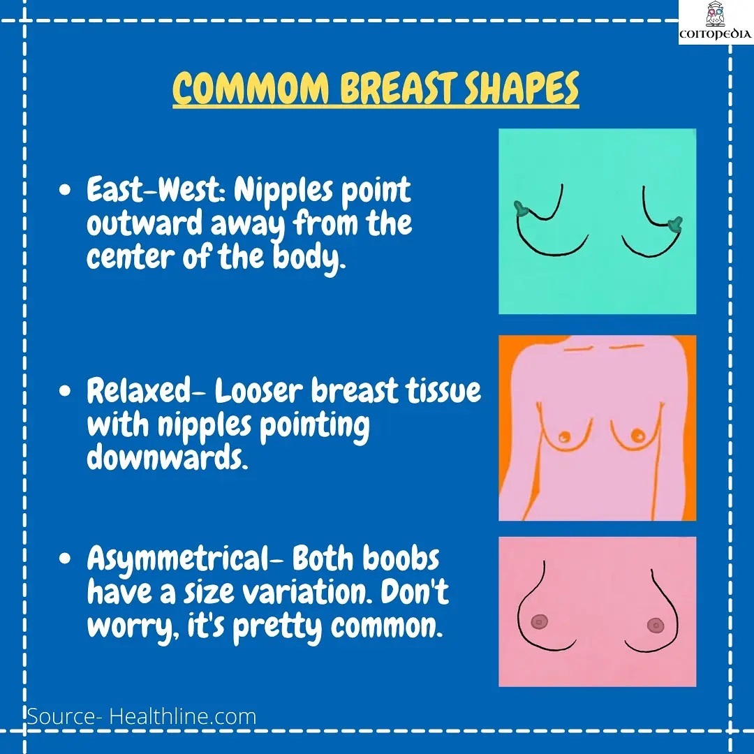 Coitopedia on X: All breasts are different in shape and size. There is no  standard for being yourself. Love your body and embrace your beautiful  self. 🌻 #BodyPositivity #BreastCancerAwareness  / X