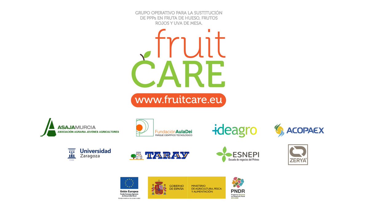 fruit_CARE's tweet photo. 🍑🍇 #FruitCARE 🍓🍑

¿Quieres saber más sobre el GO @fruit_CARE (Sustitución de PPPs en #fruta de #hueso, #frutos #rojos y #uva de mesa)?. Visita la web del #proyecto 👉🏼 https://t.co/fmenEU3lv3

@ASAJAMURCIA / @PCTAD / @ideagro / @unizar / @AcopaexInfo / @esnepi / @ZERYASpain https://t.co/C0xDwM3fjJ