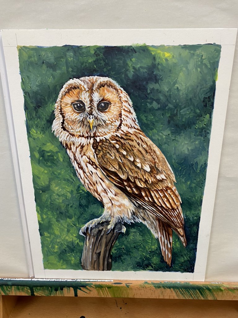 AtelierGeeraets's tweet photo. Werkje gemaakt. Het is een bosuil.

‘Gespitst op muizen’
Aquarel op papier
24 x 32 cm

Retweet is lief. https://t.co/soIb8nS99u