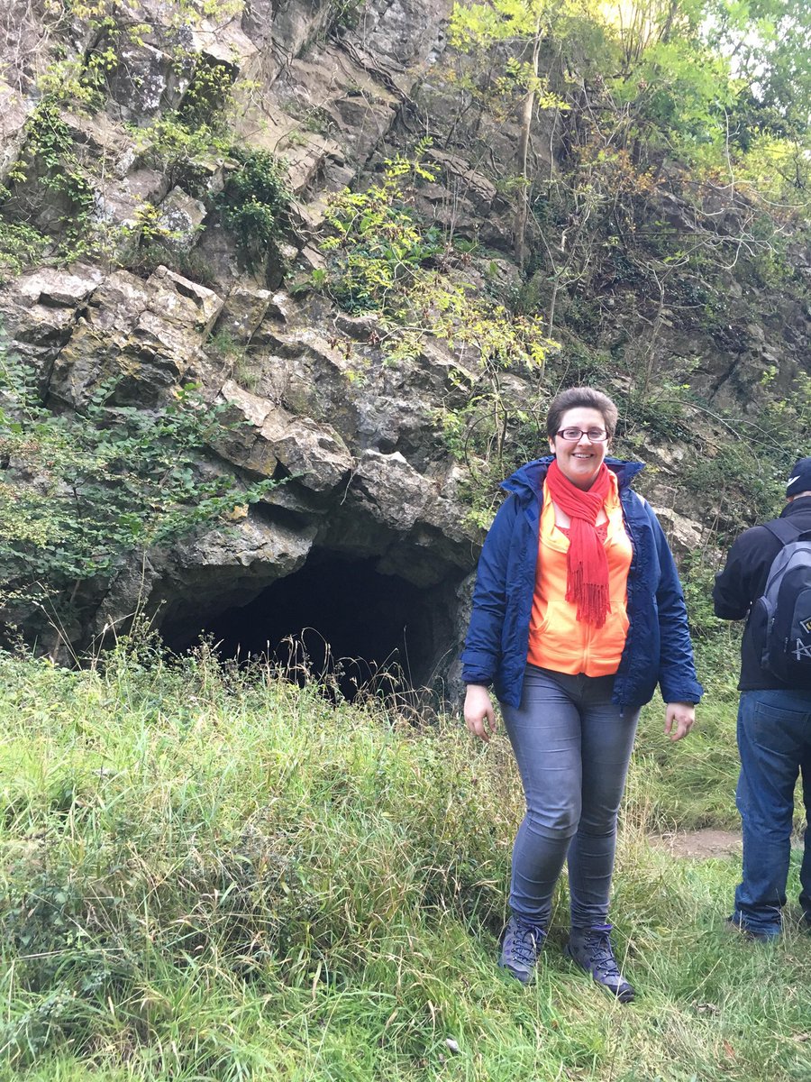 saveworcsarch tweet media