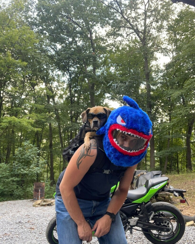 TheADHDTrucker's tweet image. Getting ready to go for a motorcycle cycle ride.  Diesel and Sharky wanted to go for a ride because it was a beautiful day in PA.  #timeforaride #motorcycle #motorcycleride #beautifulday #gooddayforaride #puggle #mansbestfriend #BestFriend instagr.am/p/CTjnft2s4kA/