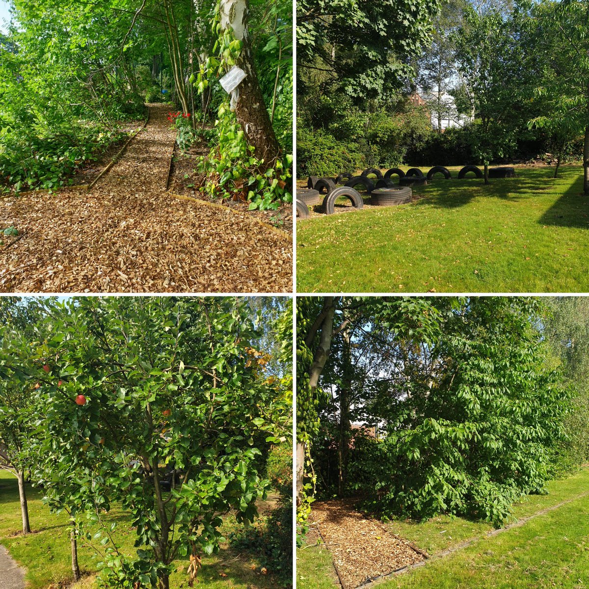 Cathedral School of St Peter & St John RC Primary tweet media