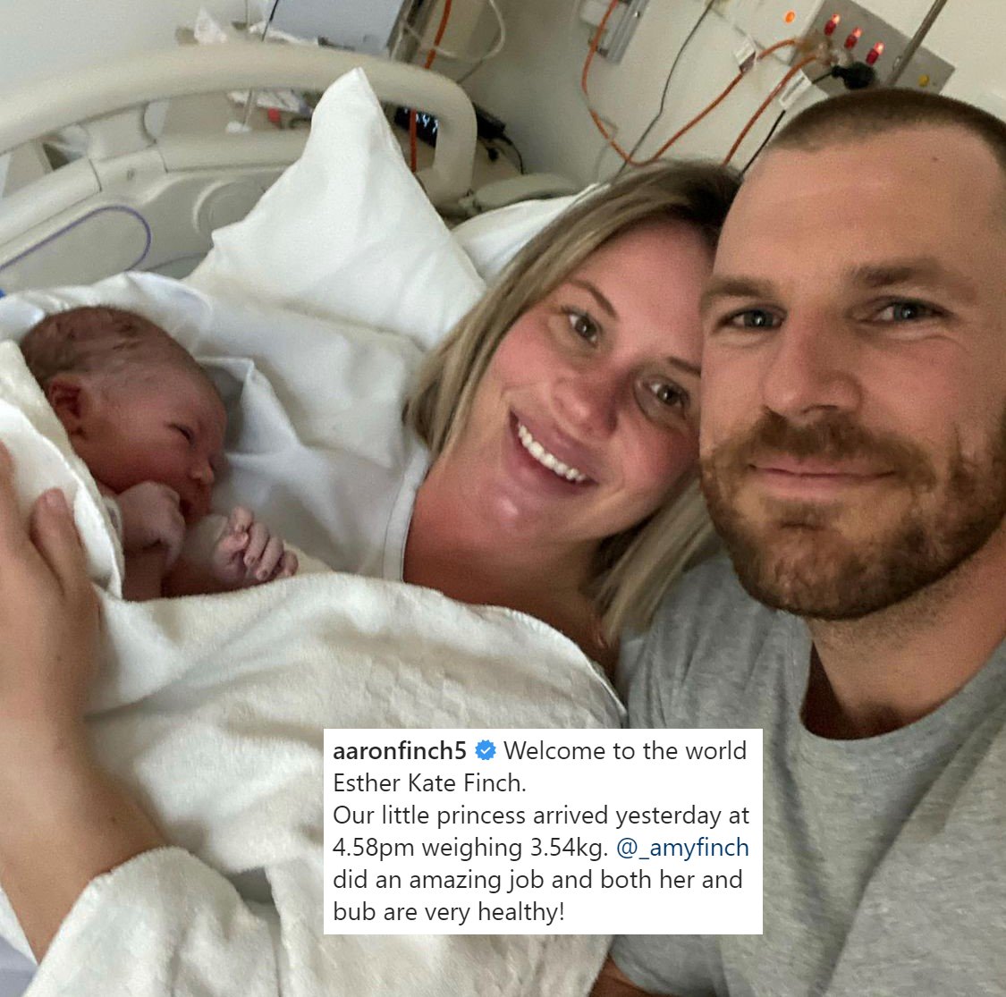 Melbourne Renegades tweet media