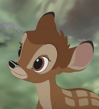 Name doe in bambi Bambi characters