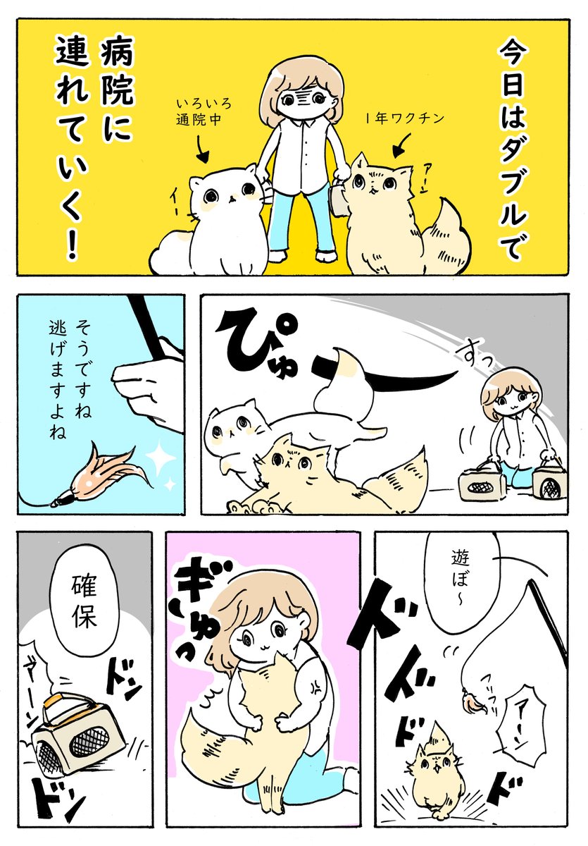 病院バトル(日常④)
https://t.co/qXDN7JQNxX
#猫のいる暮らし 