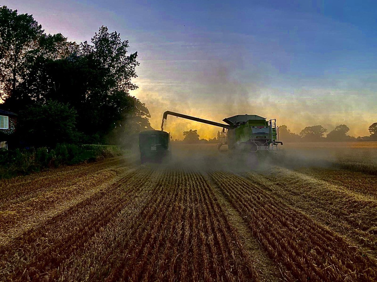 Tash_Wright_'s tweet photo. Last few days of combining and the sun is finally shining😁 🚜 ☀️ @CLAAS_UK @FarmingUK #farm365 #harvest2021 https://t.co/cXs1OTithH