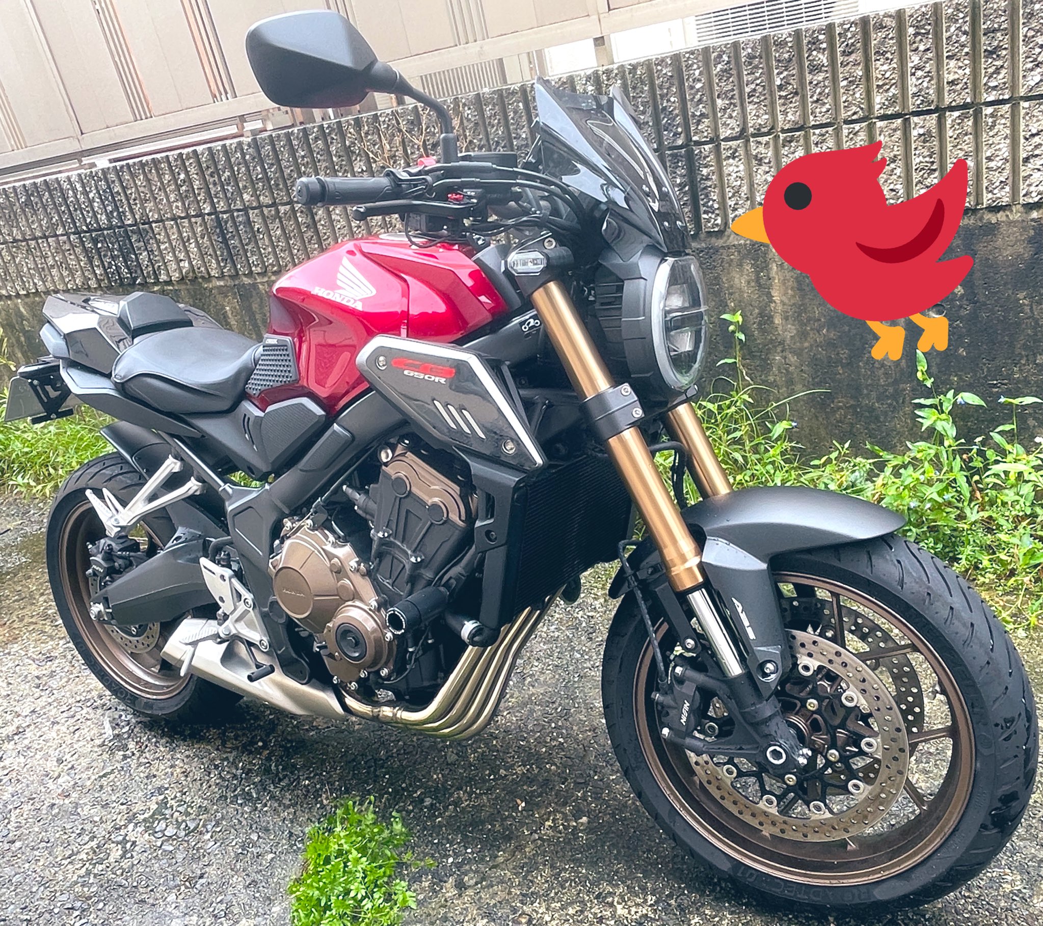 GIVI ホンダ CB650 スクリーン GIVI 1173S スクリーン スモーク／HONDA CB1000R / HONDA CB 650