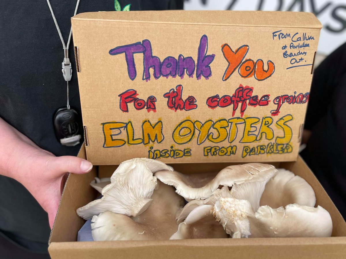 We are delighted to see the first crop of Callum's Mushrooms appear. 
Lindsey harvested and delivered them to the Cottage Cafe. Eilidh from the Cafe was delighted and said they hoped to make some "yummy soup with them".
#GROWWILDUK #KEWGARDENS #MUSHROOMS #THECOTTAGEGREENOCK