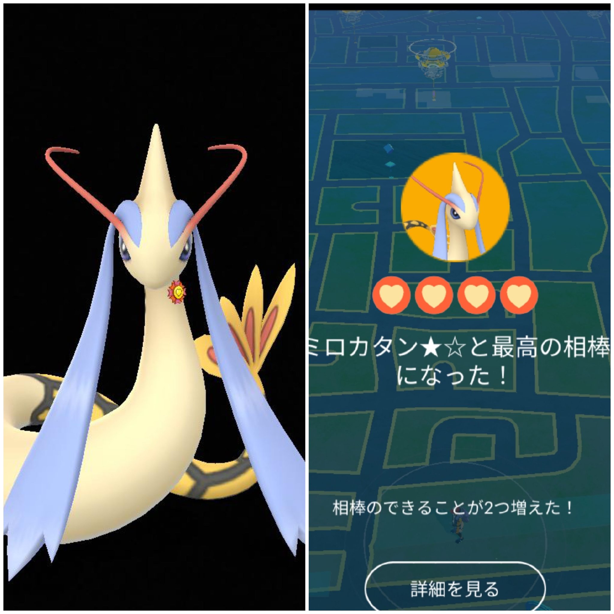 Amazinghisa 今日のポケモンgo活動1 相棒の色違いミロカロスにリボン がつきました レイドはアローラライチュウ 今日も光らず 辺境に預けていたラッキーが1ヵ月ぶりにもどって来ました 金ジムにもなり いろいろお疲れ様でした ポケモン