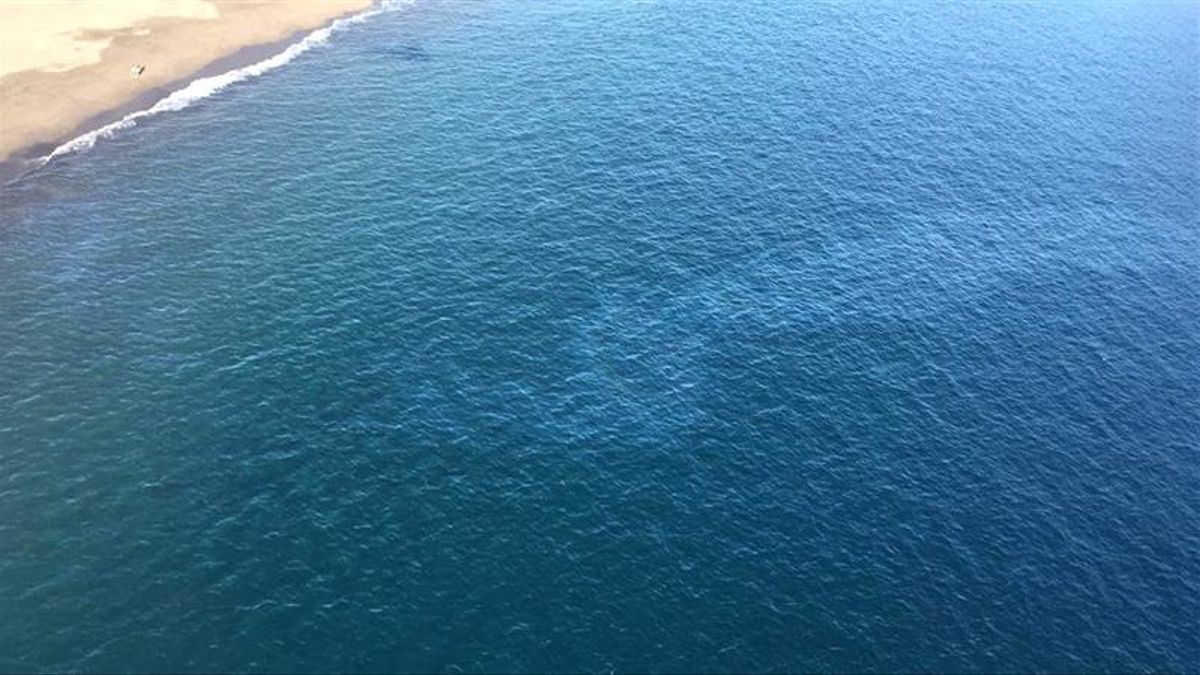 Cahora's tweet photo. 🔴🔴 Un grupo de buceadores encuentra restos óseos en el fondo del mar al sur de Tenerife #Sociedad #Tenerife https://t.co/h32UmRNQuW https://t.co/1qbWZRT7bE