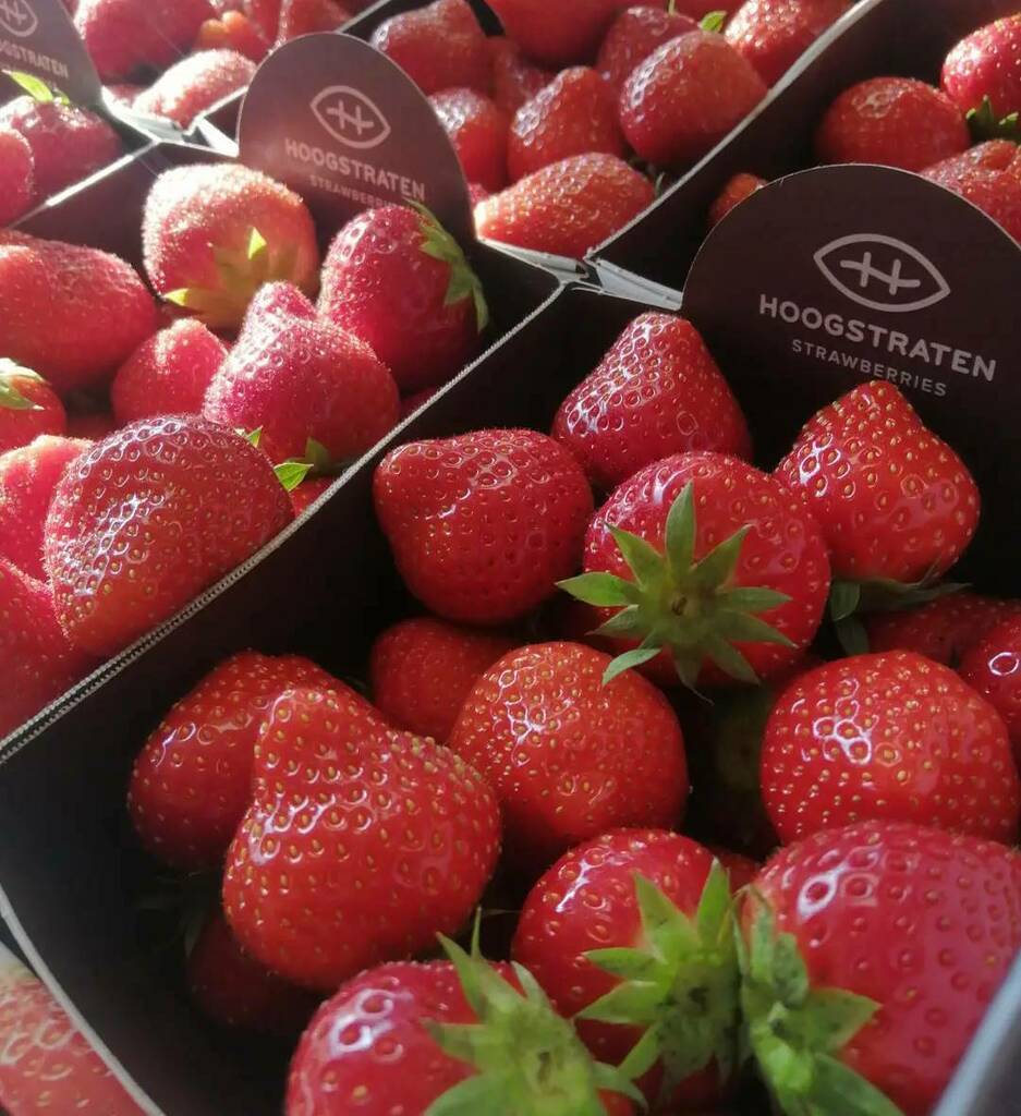 Both Belgium and English strawberries in stock! Get them while they last!

#Fruit #Seahouses #Amble #sunnyday instagr.am/p/CTjpfwfoiwi/