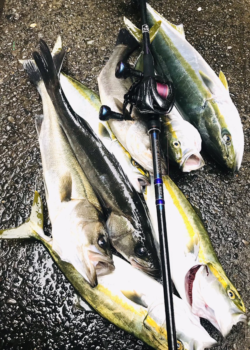 響 على تويتر 浦安イナダ ワラサァ シーバス 外道で鯖 そう言えばこのツイートは覚えてらっしゃいますか 響 على تويتر 浦安イナダ ワラサァ シーバス 外道で鯖 そう言えばこのツイートは覚えてらっしゃいますか