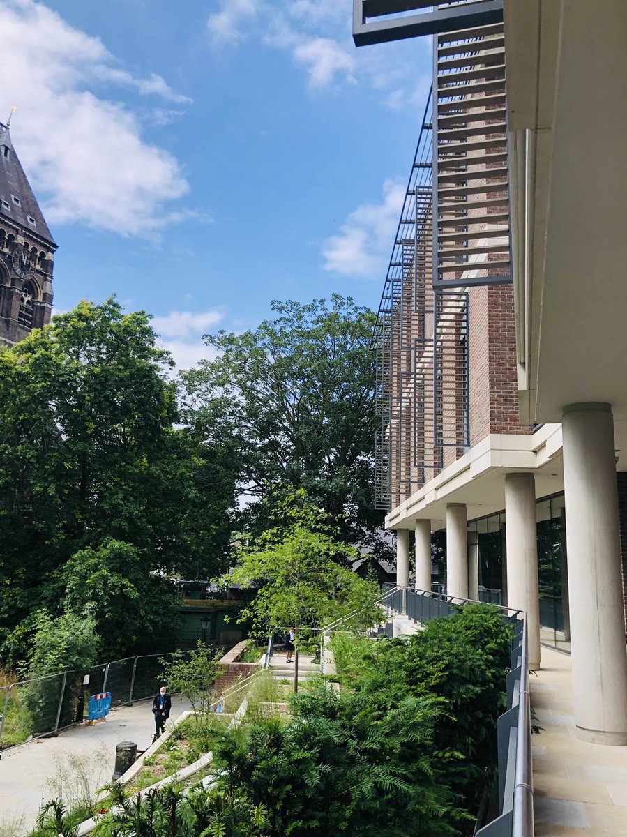 Pallett Lab UCL tweet media