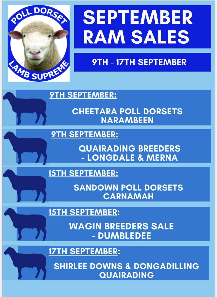WestPollDorset's tweet image. Check out this months upcoming WA Poll Dorset Sales 2021 #primelamb #lambsupreme #polldorset #studrams
