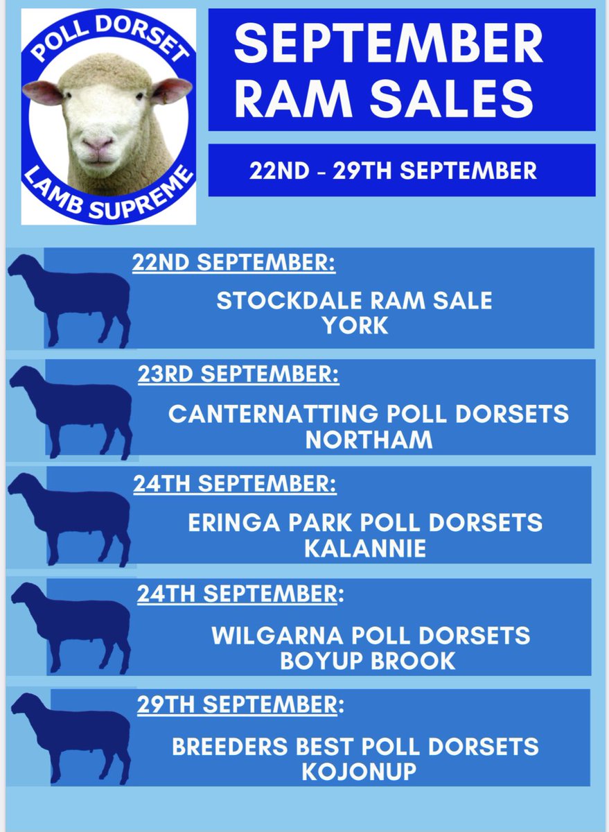 WestPollDorset's tweet image. Check out this months upcoming WA Poll Dorset Sales 2021 #primelamb #lambsupreme #polldorset #studrams