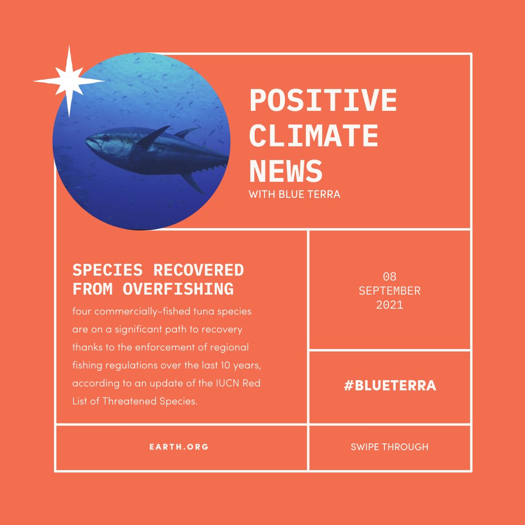 Blue Terra tweet media