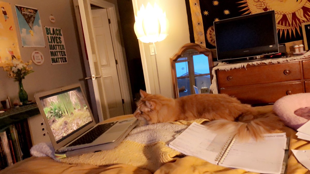 eedee_dear's tweet image. hagning out