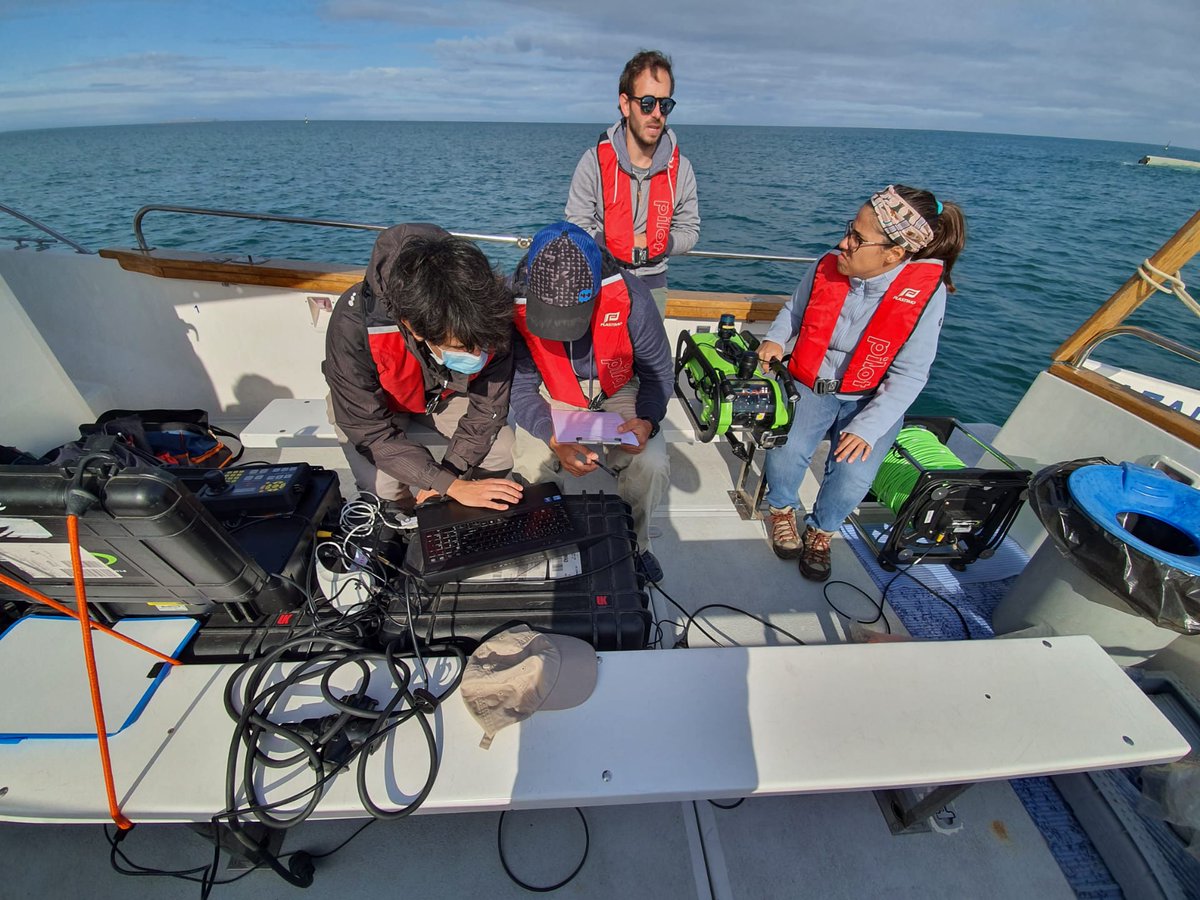 Wese Project tweet media