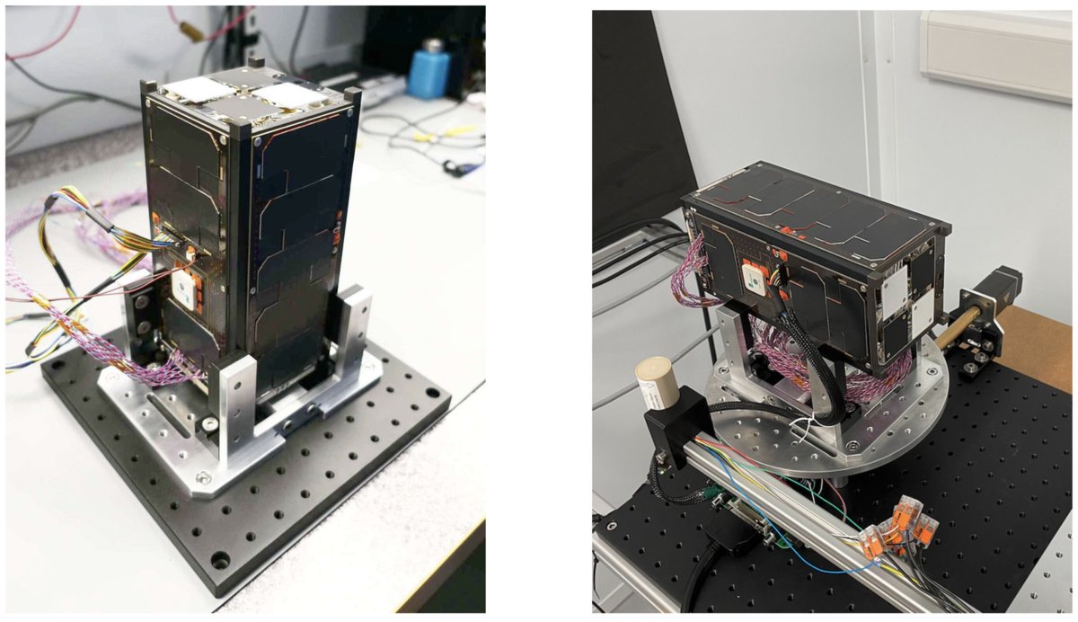 Sarah Walsh tweet media