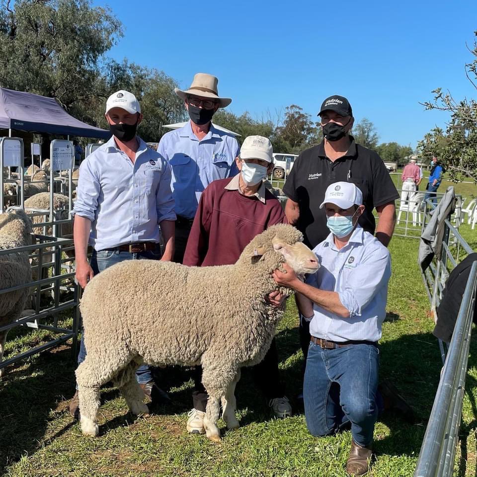 A huge thankyou to all who supported our sale today.
60/60 rams sold in the main auction for an average of $3,913 and to a top of $6,800 for lot 7.
30/30 in the mini auction for an average of $1906. 
Resulting in a total clearance of all 90 rams for a $3,244 average. #srsgenetics