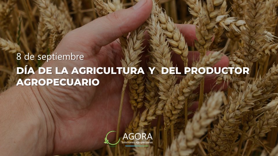 Agora_agro's tweet photo. ¡¡Feliz día!! https://t.co/NotY6jXIKo