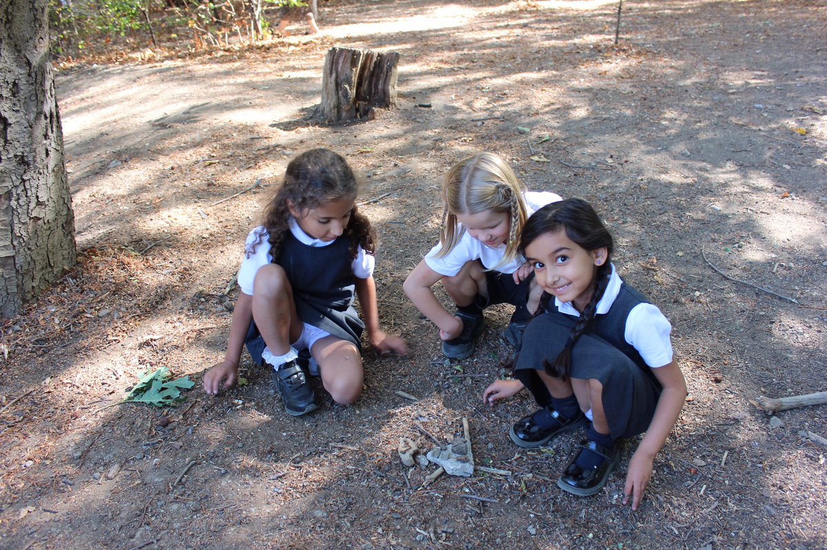 HeadBesaTurkey's tweet photo. Our beautiful woods are everyone’s favourite place to play and learn, especially with the lovely weather we have right now #safeoutside https://t.co/UwItYquxJF