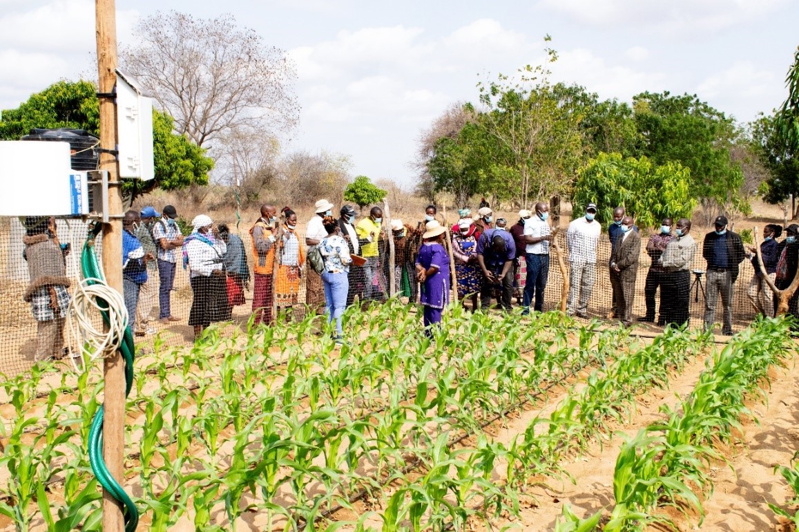 DiscoverJKUAT's tweet photo. Read about how researchers from JKUAT, JKUATES, Alliance Bioversity-CIAT,@_SLU , and SWRT Solutions LLC, carried out a project to increase farm system resilience, crop production and carbon accumulation in sandy soils in Makueni county.
https://t.co/44LXRxbZ30 https://t.co/hv0T8dNixQ